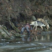 Wataha - galeria zdjęć - filmweb