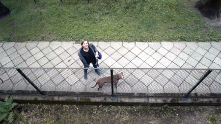 Recenzja Film balkonowy