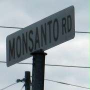 Le Monde selon Monsanto - galeria zdjęć - filmweb