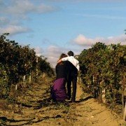 Yuzhnye nochi - galeria zdjęć - filmweb