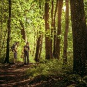 Bateria - galeria zdjęć - filmweb