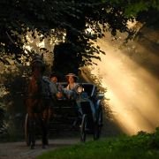 Buddenbrookowie. Dzieje upadku rodziny - galeria zdjęć - filmweb