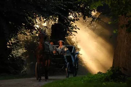 Buddenbrookowie. Dzieje upadku rodziny - galeria zdjęć - filmweb