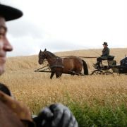 Buddenbrookowie. Dzieje upadku rodziny - galeria zdjęć - filmweb