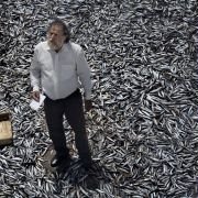 Terraferma - galeria zdjęć - filmweb