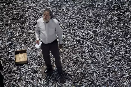 Terraferma - galeria zdjęć - filmweb
