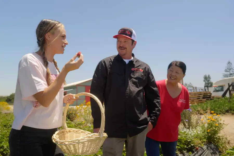 Jedz zdrowo z Zooey Deschanel - galeria zdjęć - filmweb