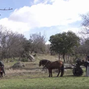 Acacias 38 - galeria zdjęć - filmweb