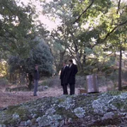 Acacias 38 - galeria zdjęć - filmweb