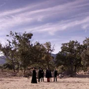 Acacias 38 - galeria zdjęć - filmweb