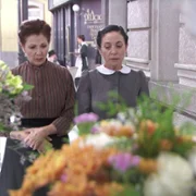 Acacias 38 - galeria zdjęć - filmweb