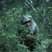 Truposze nie umierają - galeria zdjęć - filmweb