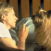 Zagubione znalezione - galeria zdjęć - filmweb