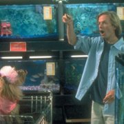 Lost & Found - galeria zdjęć - filmweb