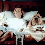 Lost & Found - galeria zdjęć - filmweb