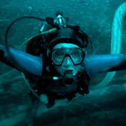 Whalefall - galeria zdjęć - filmweb