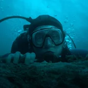 Whalefall - galeria zdjęć - filmweb