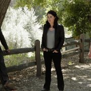 The Mentalist - galeria zdjęć - filmweb