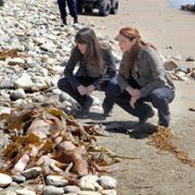The Mentalist - galeria zdjęć - filmweb