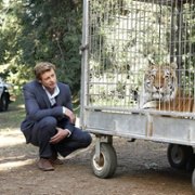 The Mentalist - galeria zdjęć - filmweb