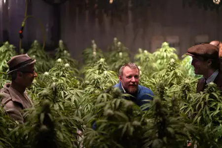 Dżentelmeni - galeria zdjęć - filmweb