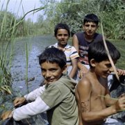 Acasă, My Home - galeria zdjęć - filmweb