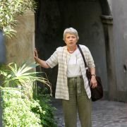 Wycieczkowicze - galeria zdjęć - filmweb