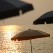Účastníci zájezdu - galeria zdjęć - filmweb