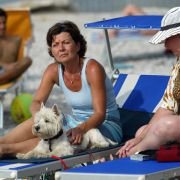Wycieczkowicze - galeria zdjęć - filmweb