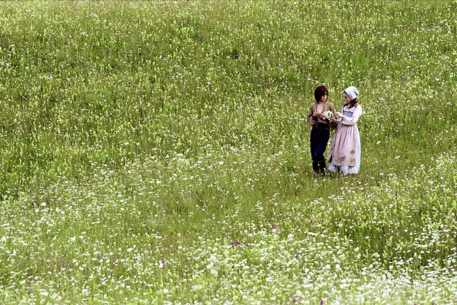 Męstwo i honor - galeria zdjęć - filmweb