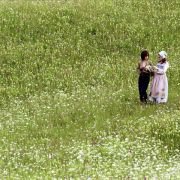 Jacquou le croquant - galeria zdjęć - filmweb