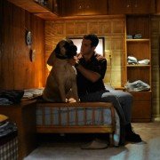 The Voices - galeria zdjęć - filmweb