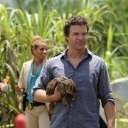 The Glades - galeria zdjęć - filmweb