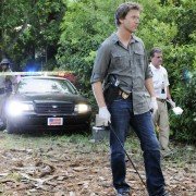 The Glades - galeria zdjęć - filmweb