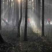 Nelyubov - galeria zdjęć - filmweb