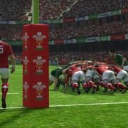 Rugby World Cup 2011 - galeria zdjęć - filmweb