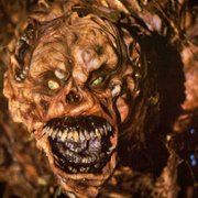 House - galeria zdjęć - filmweb
