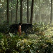 The Jungle Book - galeria zdjęć - filmweb