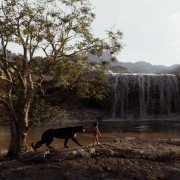 The Jungle Book - galeria zdjęć - filmweb