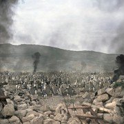 Ignacio de Loyola - galeria zdjęć - filmweb