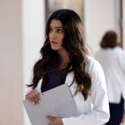 The Resident - galeria zdjęć - filmweb