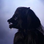 Hunter's Moon - galeria zdjęć - filmweb
