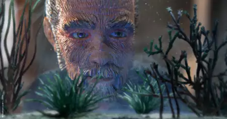 Niezapomniana - galeria zdjęć - filmweb