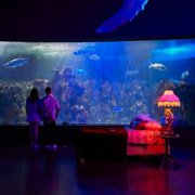 Madre sólo hay dos - galeria zdjęć - filmweb
