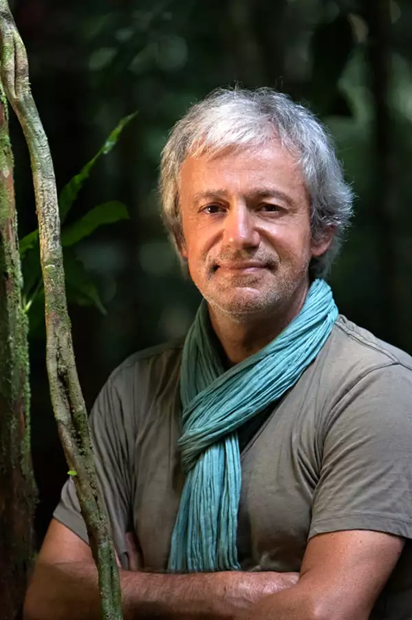 Amazonia. Przygody małpki Sai - galeria zdjęć - filmweb