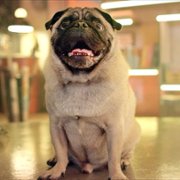 Wielkie zagadki świata - galeria zdjęć - filmweb