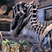 Wielkie zagadki świata - galeria zdjęć - filmweb