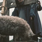 Harvest - galeria zdjęć - filmweb