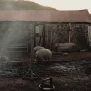 Harvest - galeria zdjęć - filmweb