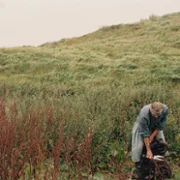 Harvest - galeria zdjęć - filmweb
